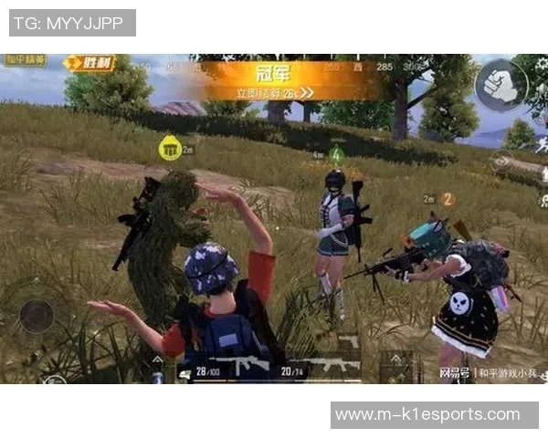 和平精英战术LNG阵地战体系的全面解析与实战应用探讨实时数据